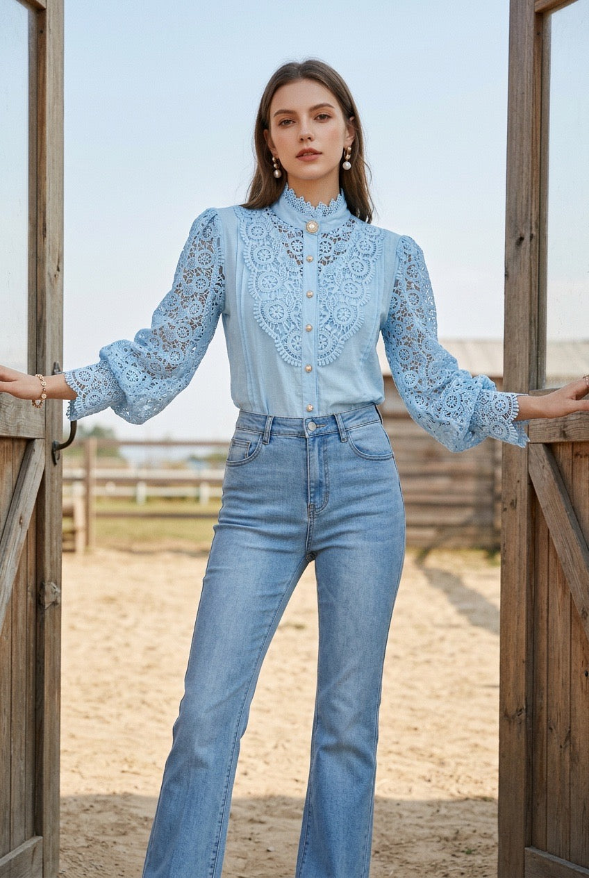 Long sleeve Lace Blouse