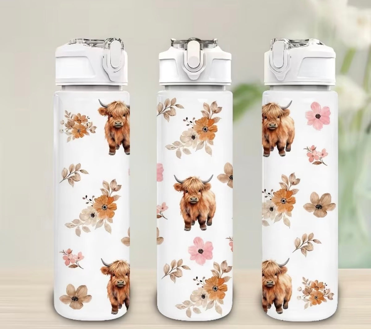 Water bottles