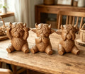 Mini Highland Cows