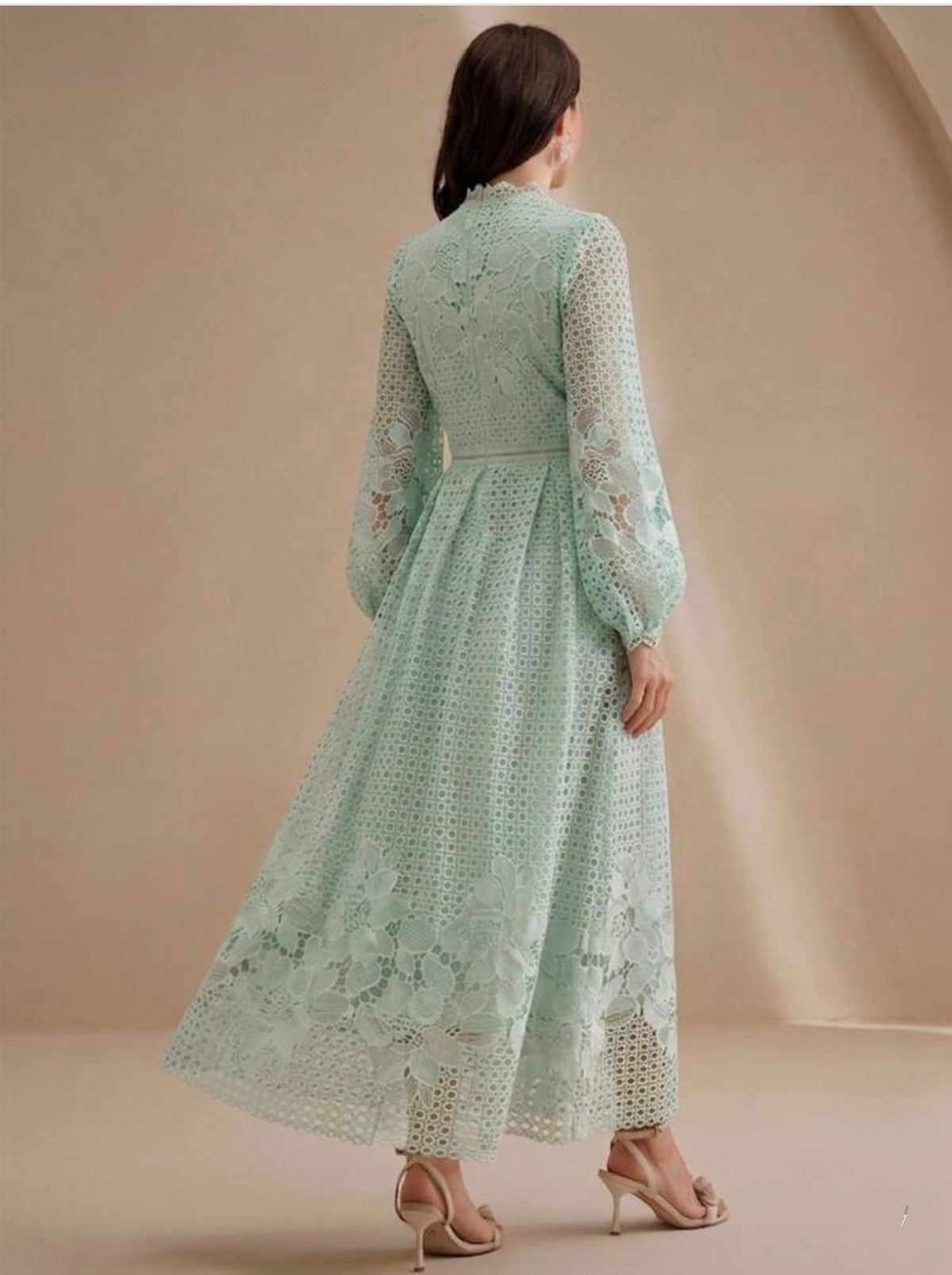 Elegant Long sleeve Floral Lace Dress